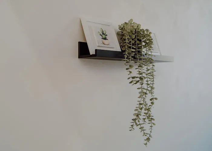 Gasthuis Domus Aeterna - Re Di 4*